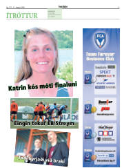 Síða 17
