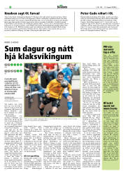 Síða 20