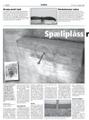 Síða 8