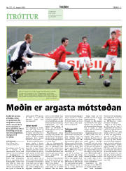 Síða 17