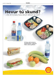 Síða 15