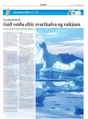 Síða 38