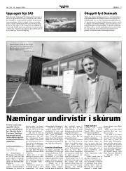 Síða 9