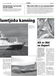Síða 11