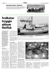 Síða 8