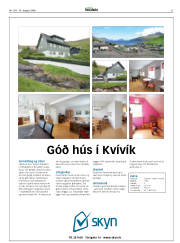 Síða 31