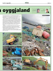 Síða 41