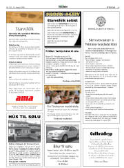 Síða 43