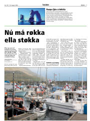 Síða 9