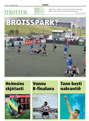 Síða 17