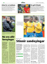 Síða 20
