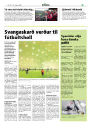 Síða 21