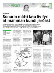 Síða 17