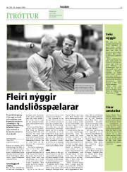 Síða 33