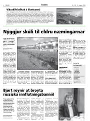 Síða 8