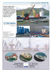 Síða 19
