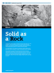 Síða 36