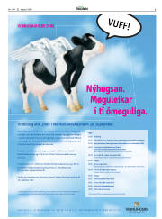 Síða 3