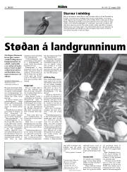 Síða 14