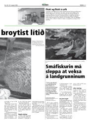 Síða 15
