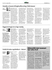 Síða 17