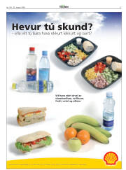 Síða 23