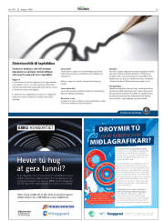 Síða 29