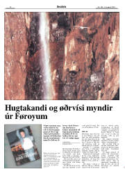 Síða 7