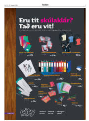 Síða 3