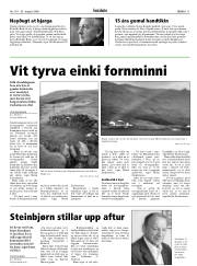 Síða 11
