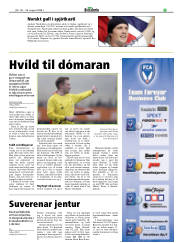 Síða 17