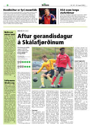 Síða 20