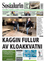 Síða 1