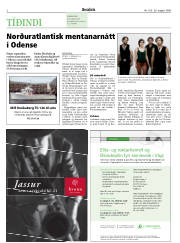 Síða 2