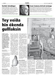 Síða 8