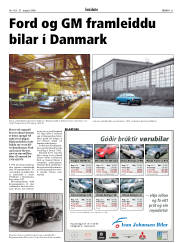 Síða 21