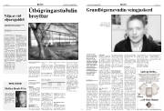 Síða 4