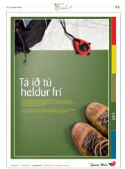 Síða 11