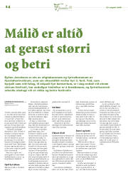 Síða 14