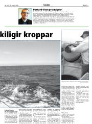 Síða 11