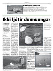 Síða 9