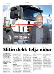 Síða 31