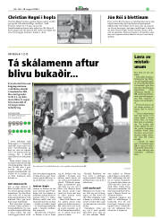 Síða 41