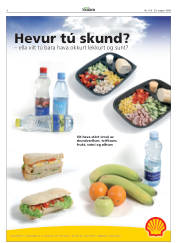 Síða 6