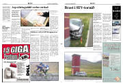 Síða 2