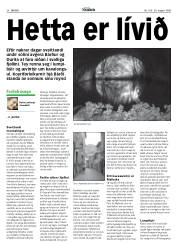Síða 38