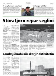 Síða 9