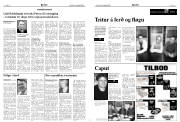 Síða 6