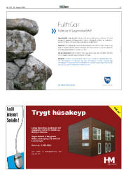 Síða 53