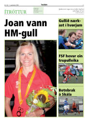 Síða 17